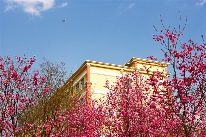 企业微信截图_17171431247701