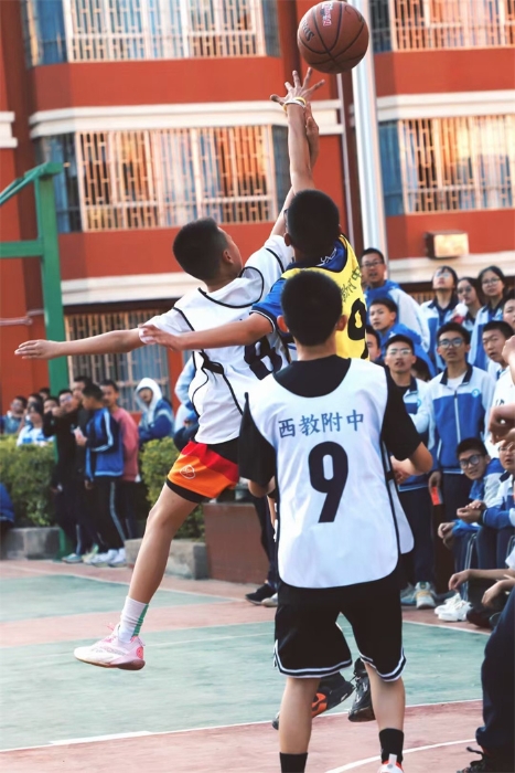 年度校园篮球赛 年度校园篮球赛