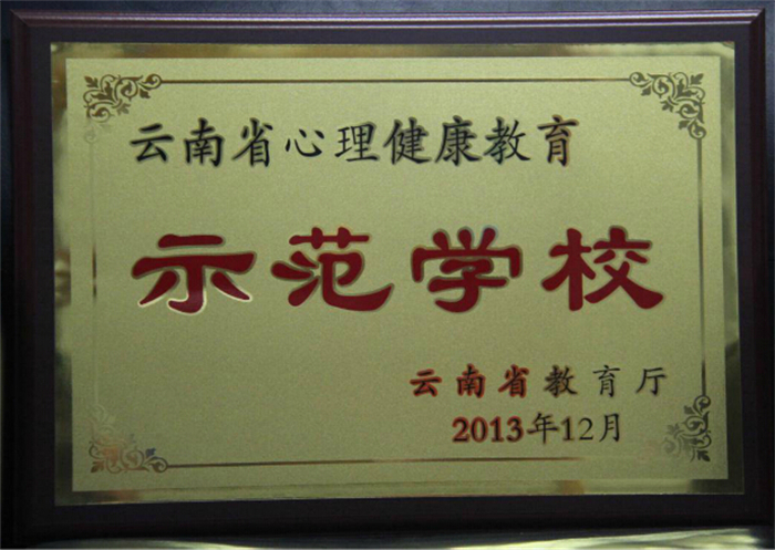 8.云南省心理健康教育示范学校