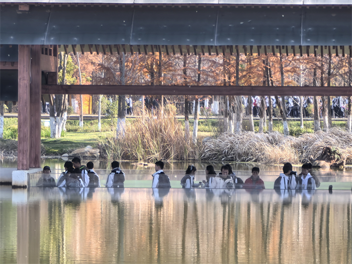 IMG_20240201_110100(1)