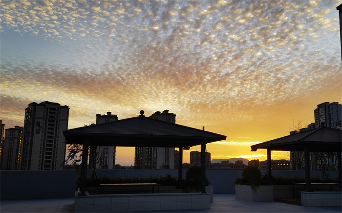 IMG_20240111_183234_edit_926075650973793(1)