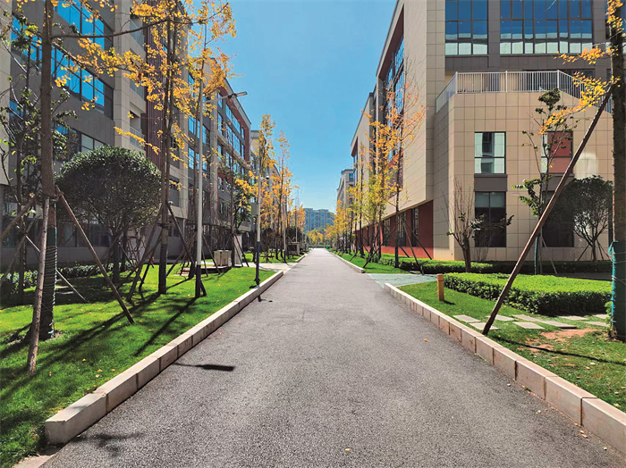 学校图片 学校图片