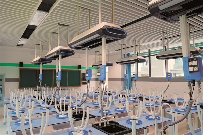 33、生物 33、生物