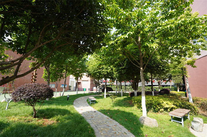 校园林荫小道 校园林荫小道