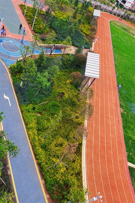 微信图片_202206102053242