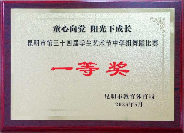 23年舞蹈一等奖 23年舞蹈一等奖