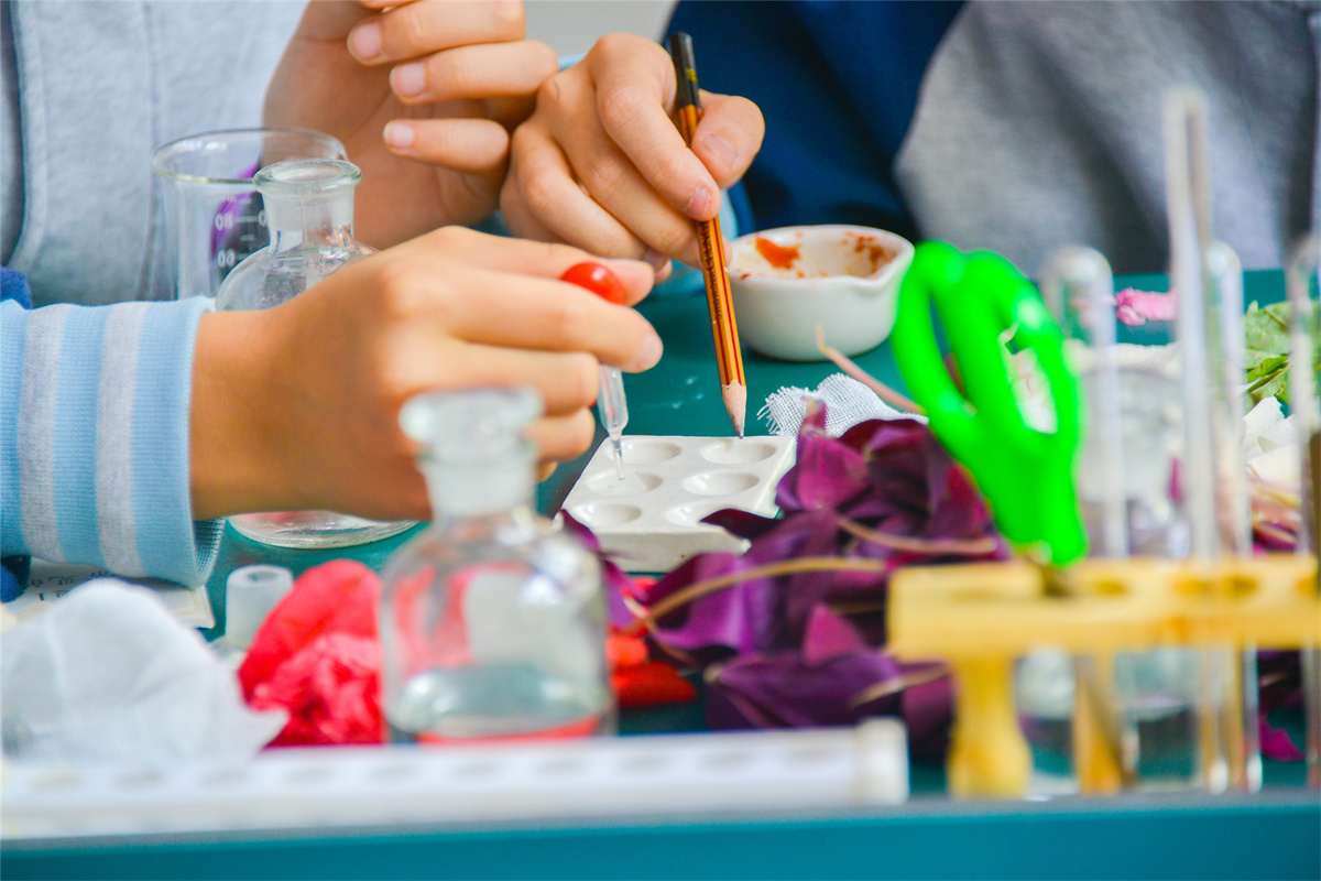 以学生发展为根本  教师发展为动力  质量发展为基础