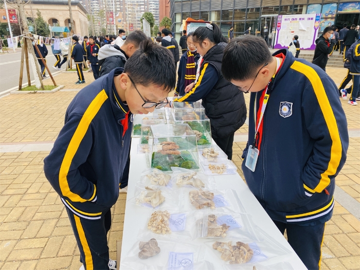 人文科技月——菌子展