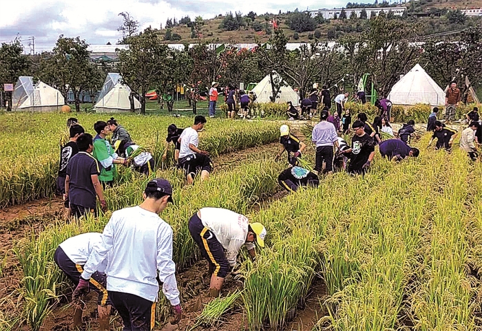 学生校外劳动实践