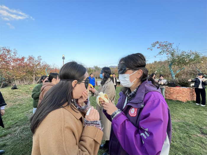 教师心理团辅——爱从投喂开始