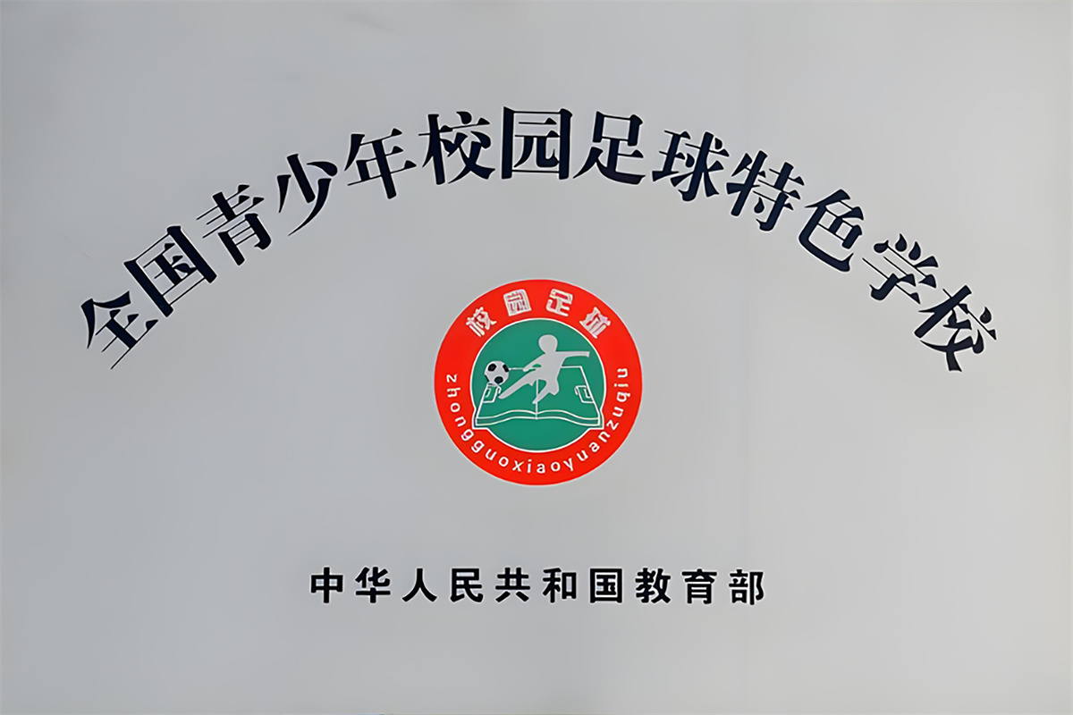 多元发展  百花齐放