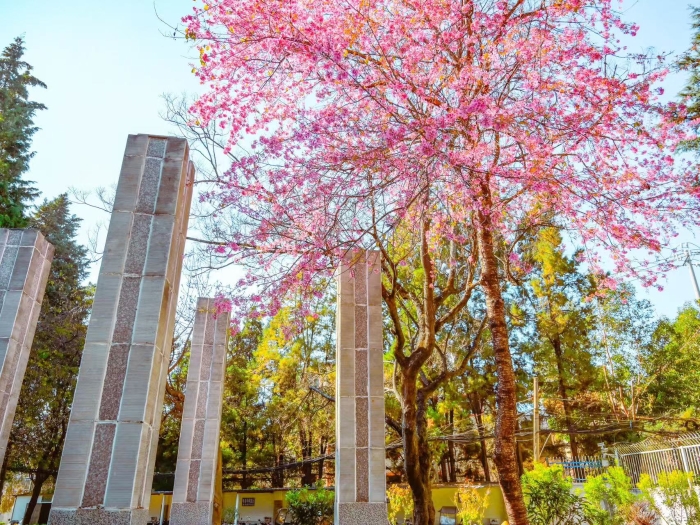 b7ba3c7fe5fa77d97afd1ce232da720