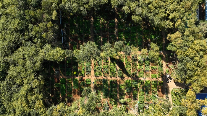 郁郁葱葱的农耕园
