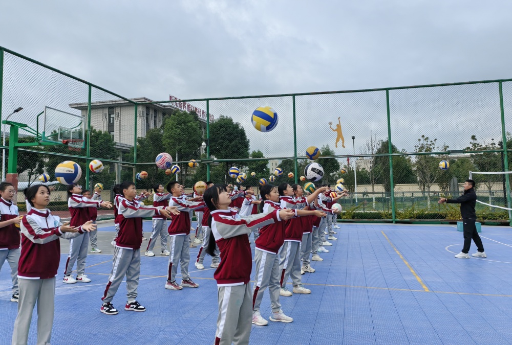 构建多元化的素养培育课程体系