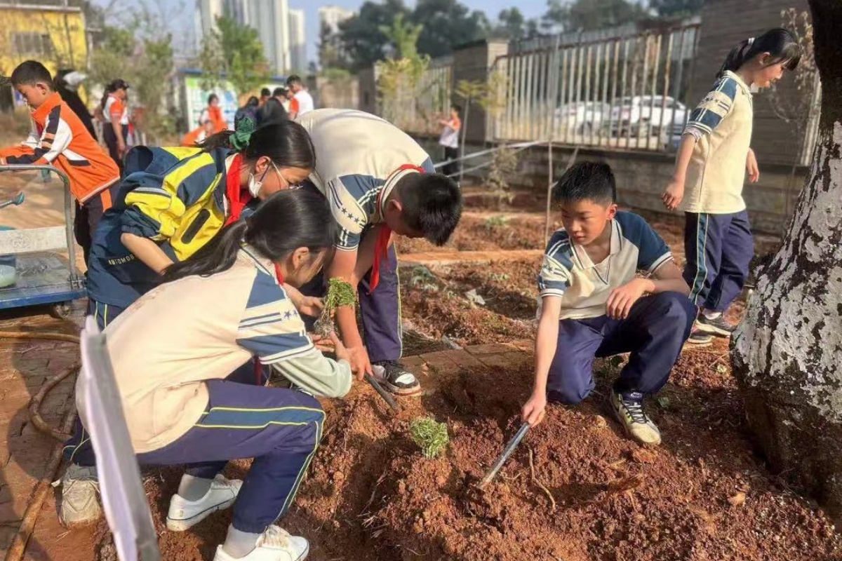 “小班制”教学和“双班主任制”