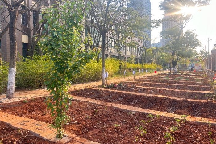 微信图片_20231123113317