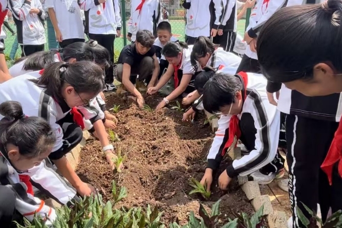 a622085add7104e3d20c74557e82439