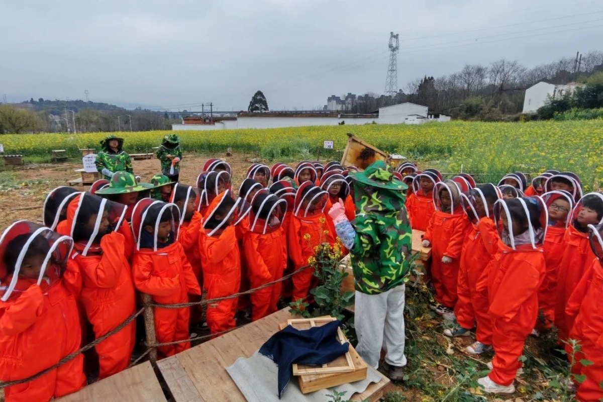在劳动中淬炼成长，以实践厚植家国情怀