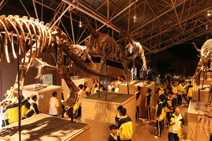 禄丰世界恐龙谷研学 (2)