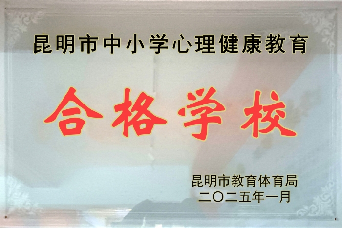 11-2024年心理健康达标学校