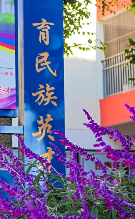 企业微信截图_17304255455681