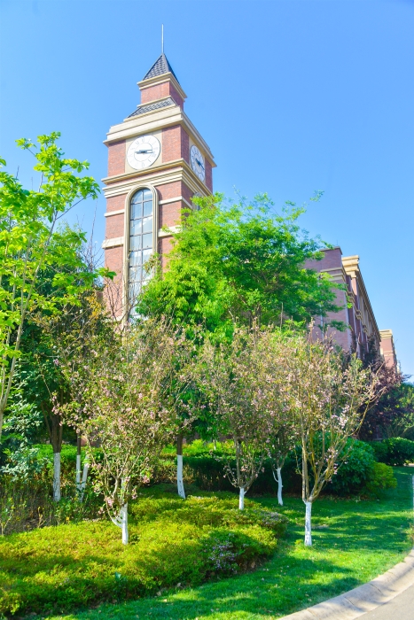 20210402-_DSC6472 20210402-_DSC6472