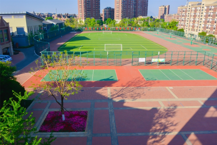 20210402-_DSC6443 20210402-_DSC6443