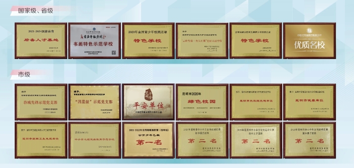 国家级、省级、市级奖项汇总 国家级、省级、市级奖项汇总