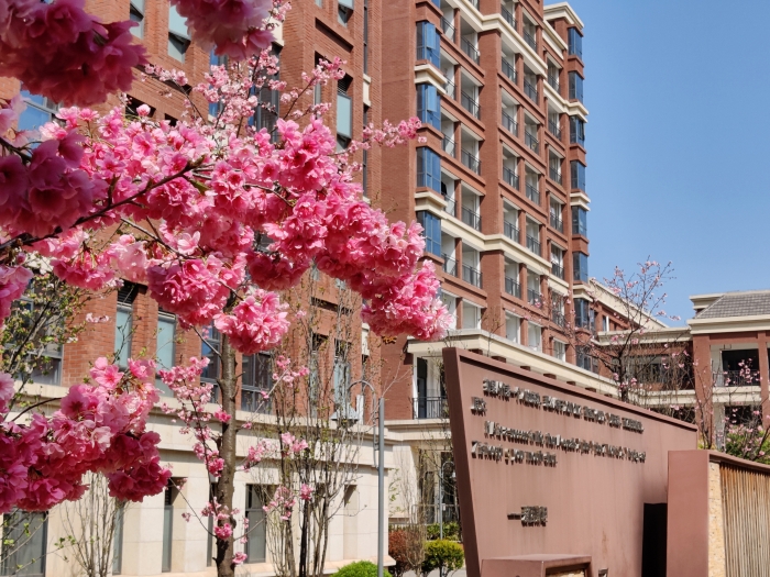 IMG_20210315_111905 IMG_20210315_111905