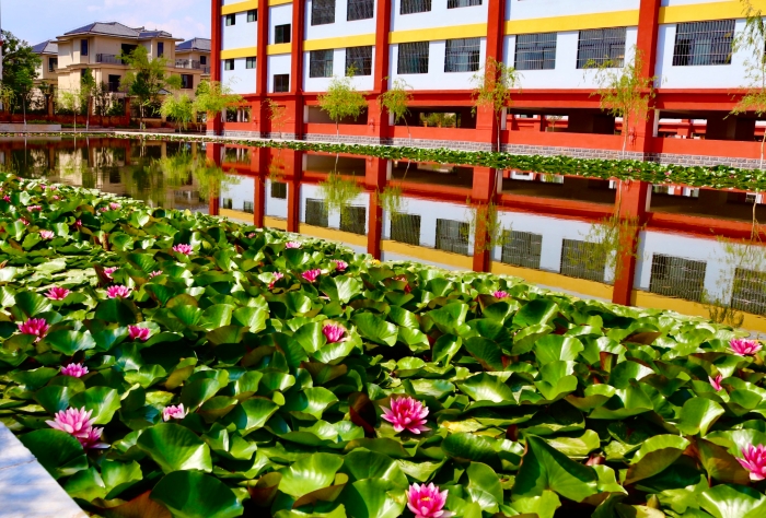 8ecc82e30cc11258a8eb5e79b1e87cf 8ecc82e30cc11258a8eb5e79b1e87cf