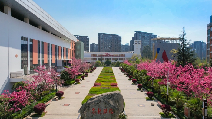 星光大道樱花 (2) 星光大道樱花 (2)