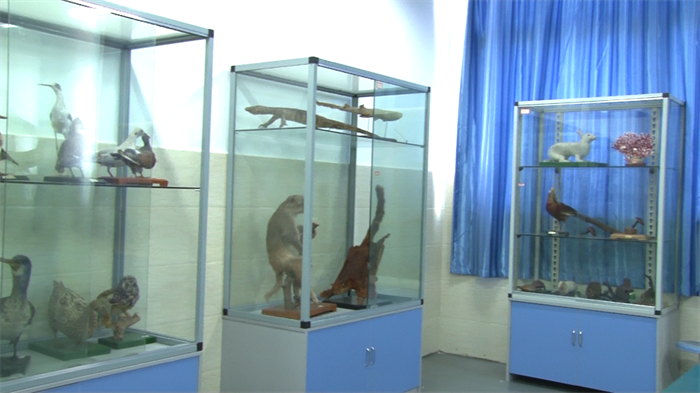 3生物标本室 3生物标本室