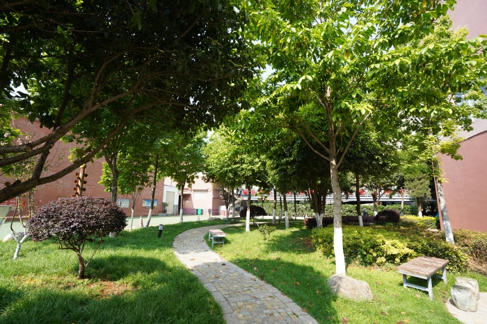 校园林荫小道 校园林荫小道