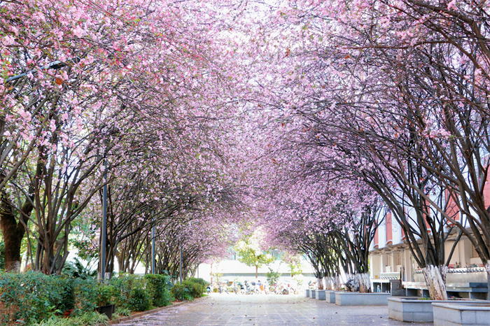 【06-智慧校园 多维保障】校园风景 (3) 【06-智慧校园 多维保障】校园风景 (3)