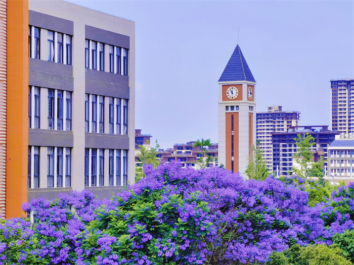 学校教学楼 学校教学楼