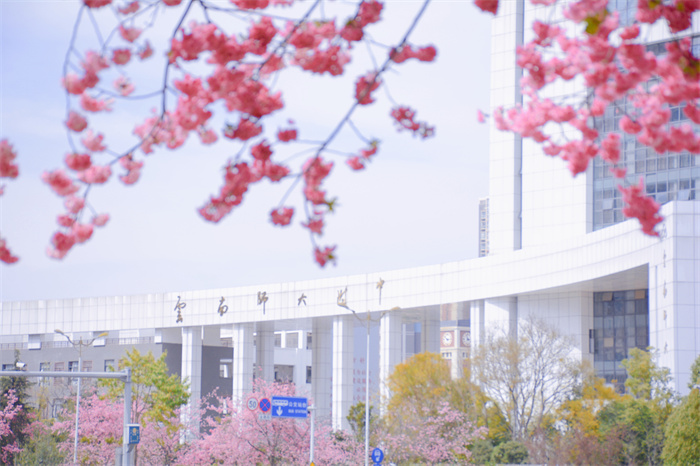 学校春景 学校春景