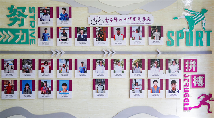 优秀足球运动员 优秀足球运动员