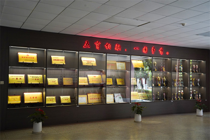 奖牌奖杯照片 奖牌奖杯照片