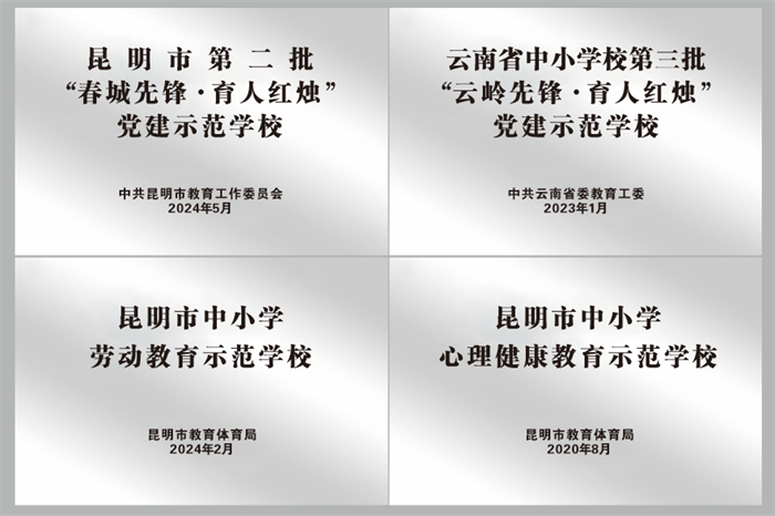 学校荣誉墙2 学校荣誉墙2