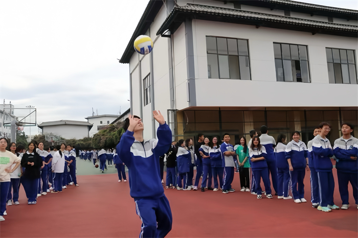 排球比赛 排球比赛