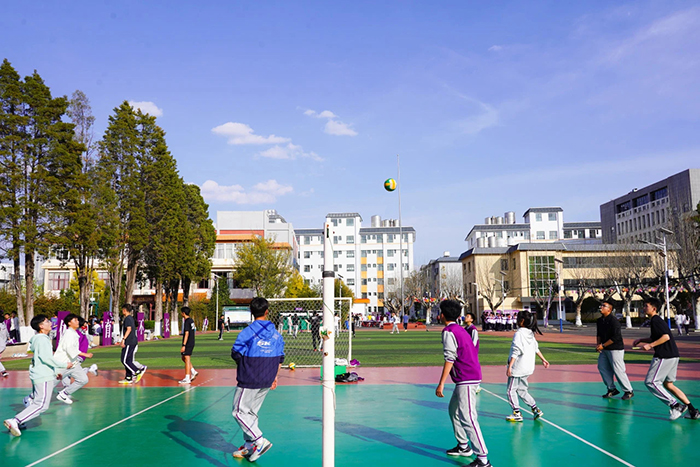 16da939f-a2db-43cc-8bad-e6115b2282ac 16da939f-a2db-43cc-8bad-e6115b2282ac