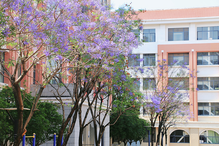 3c991061d699c6966fe59a34717043c 3c991061d699c6966fe59a34717043c