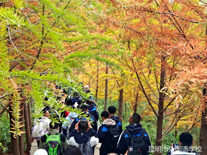 澄江远足 澄江远足