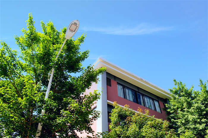 校园一角 校园一角