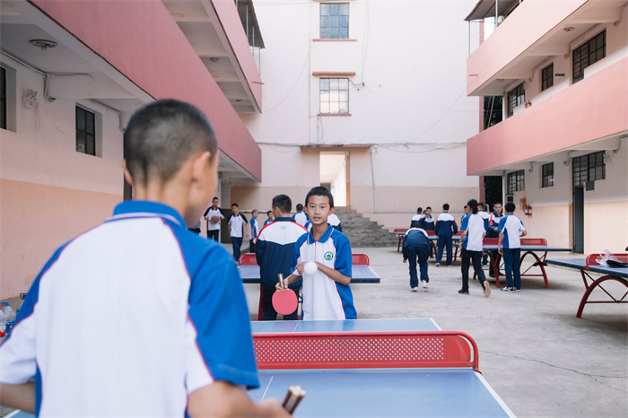 乒乓球2 乒乓球2