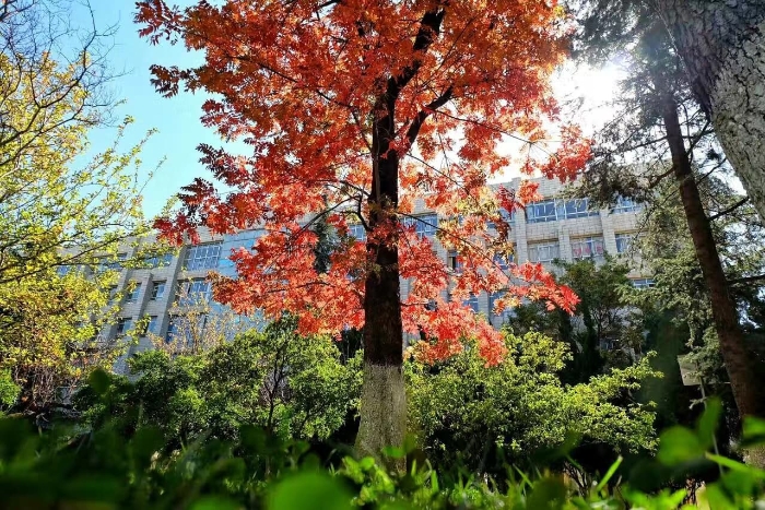 陈亚img_5730A 陈亚img_5730A