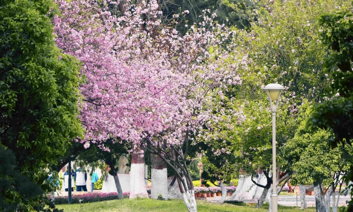 多彩一中 多彩一中