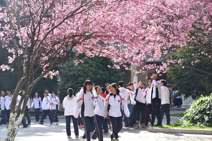 海棠花下 海棠花下