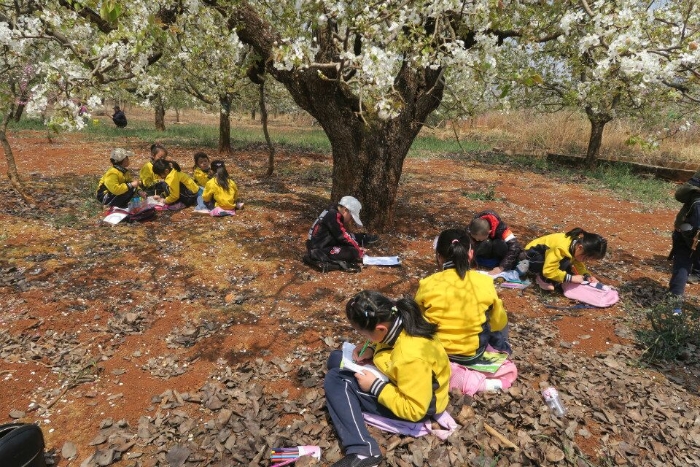 综合课程——“相约梨园” 综合课程——“相约梨园”