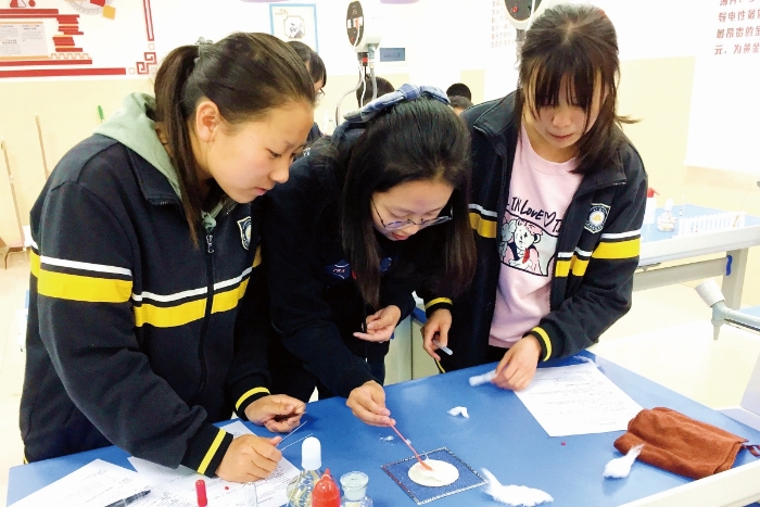 小组合作实验课 小组合作实验课